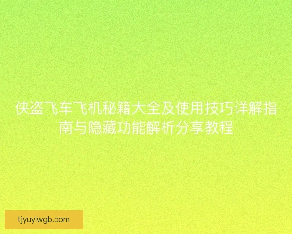 侠盗飞车飞机秘籍大全及使用技巧详解指南与隐藏功能解析分享教程